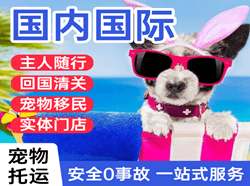 福州长乐航空邮寄国际宠物托运 【国